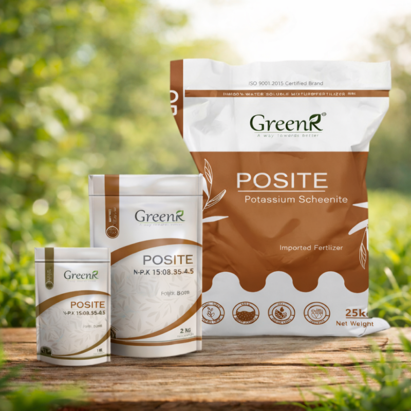 ChatGPT Image Feb 19, 2026, 03_34_03 PM