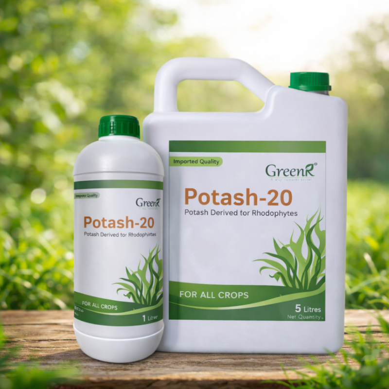 ChatGPT Image Feb 19, 2026, 03_35_49 PM