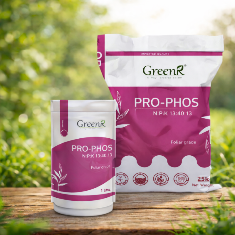 ChatGPT Image Feb 19, 2026, 03_38_55 PM