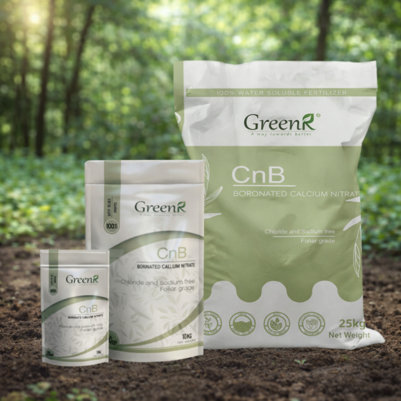 ChatGPT Image Feb 19, 2026, 04_13_05 PM