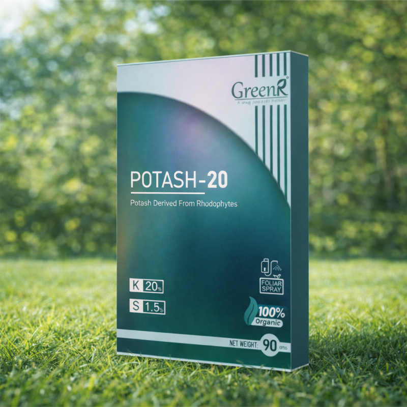 ChatGPT Image Feb 19, 2026, 04_38_15 PM