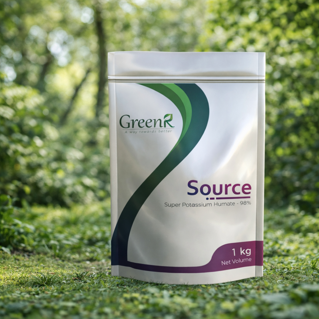 ChatGPT Image Feb 20, 2026, 10_14_25 AM