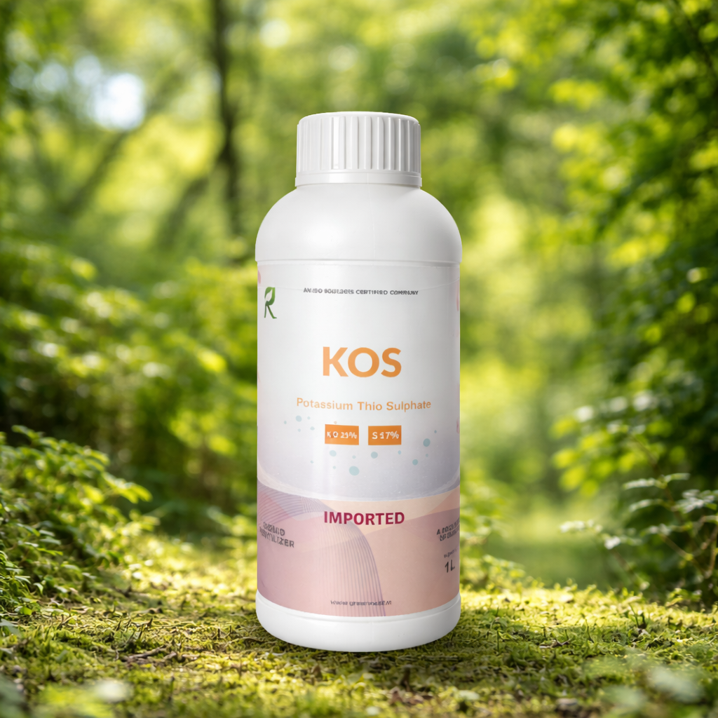 ChatGPT Image Feb 20, 2026, 10_25_26 AM